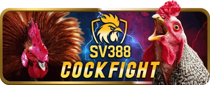 Chương trình hoàn trả tv888 chính thức